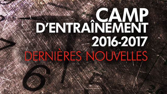 Camp_news