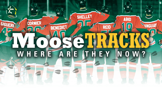 moosetracks-news