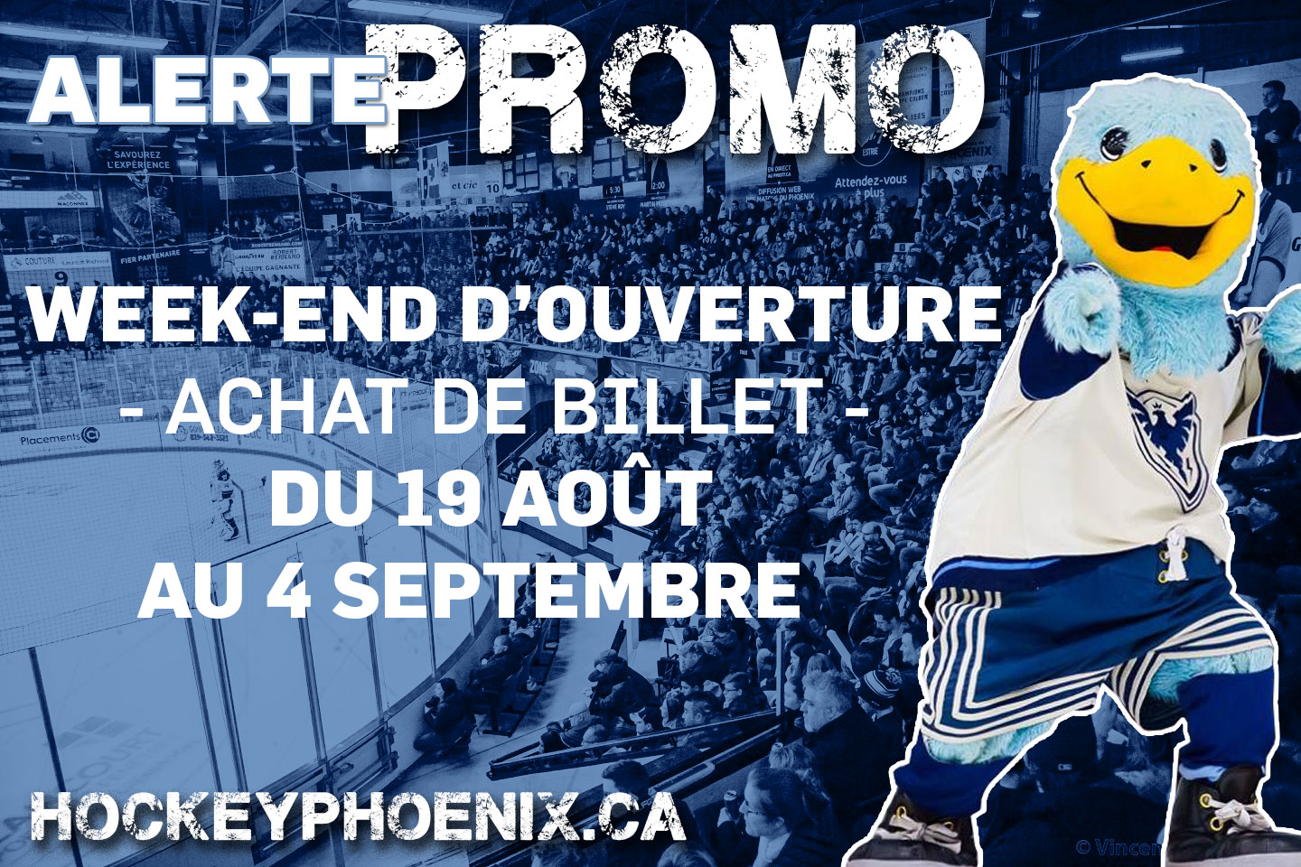 Alerte Promo