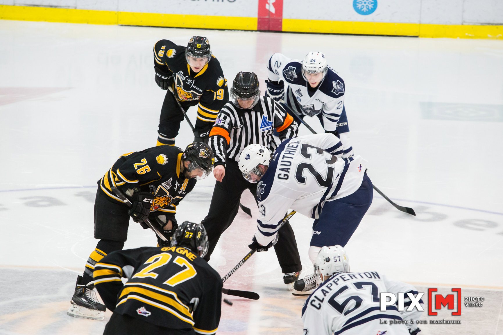 Les Tigres font face à l'élimination Les Tigres de Victoriaville