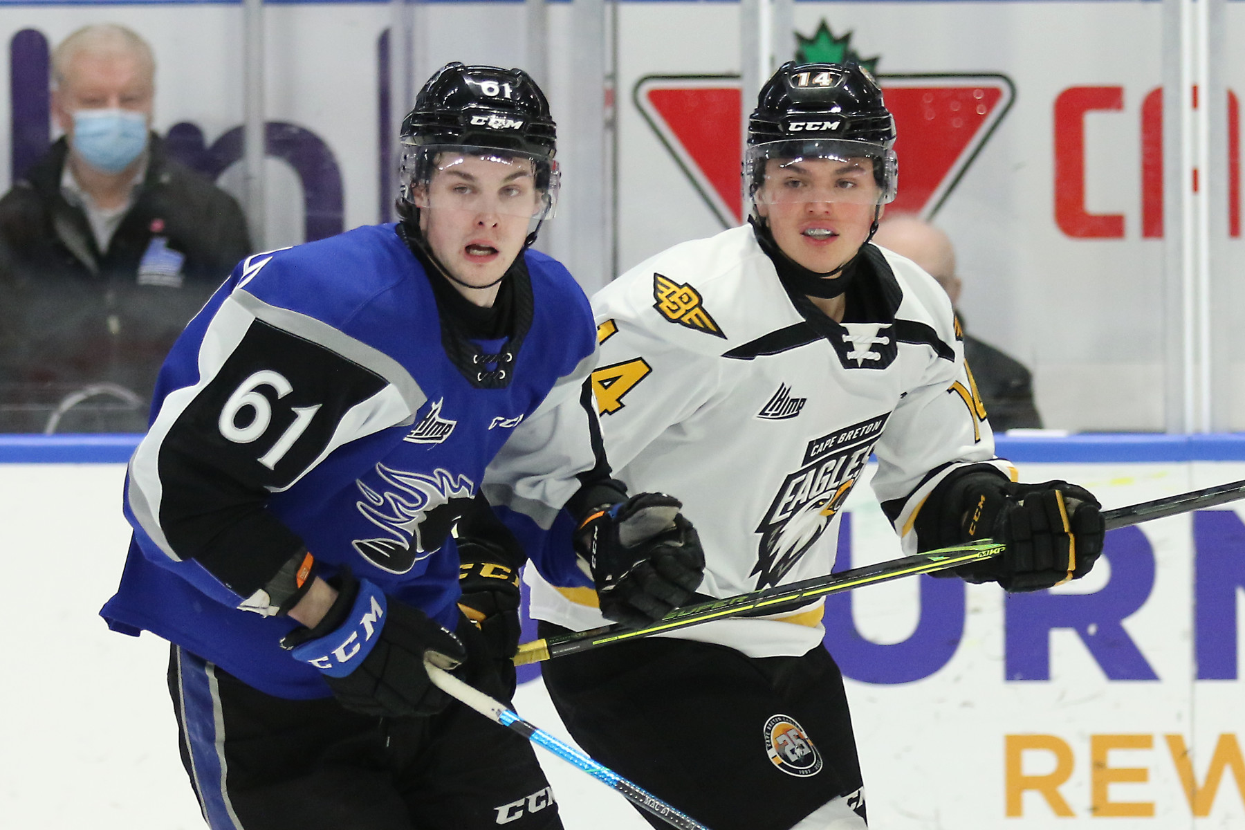 Sea Dogs Top Eagles In Saturday Matinee At The Nest Cape Breton Eagles