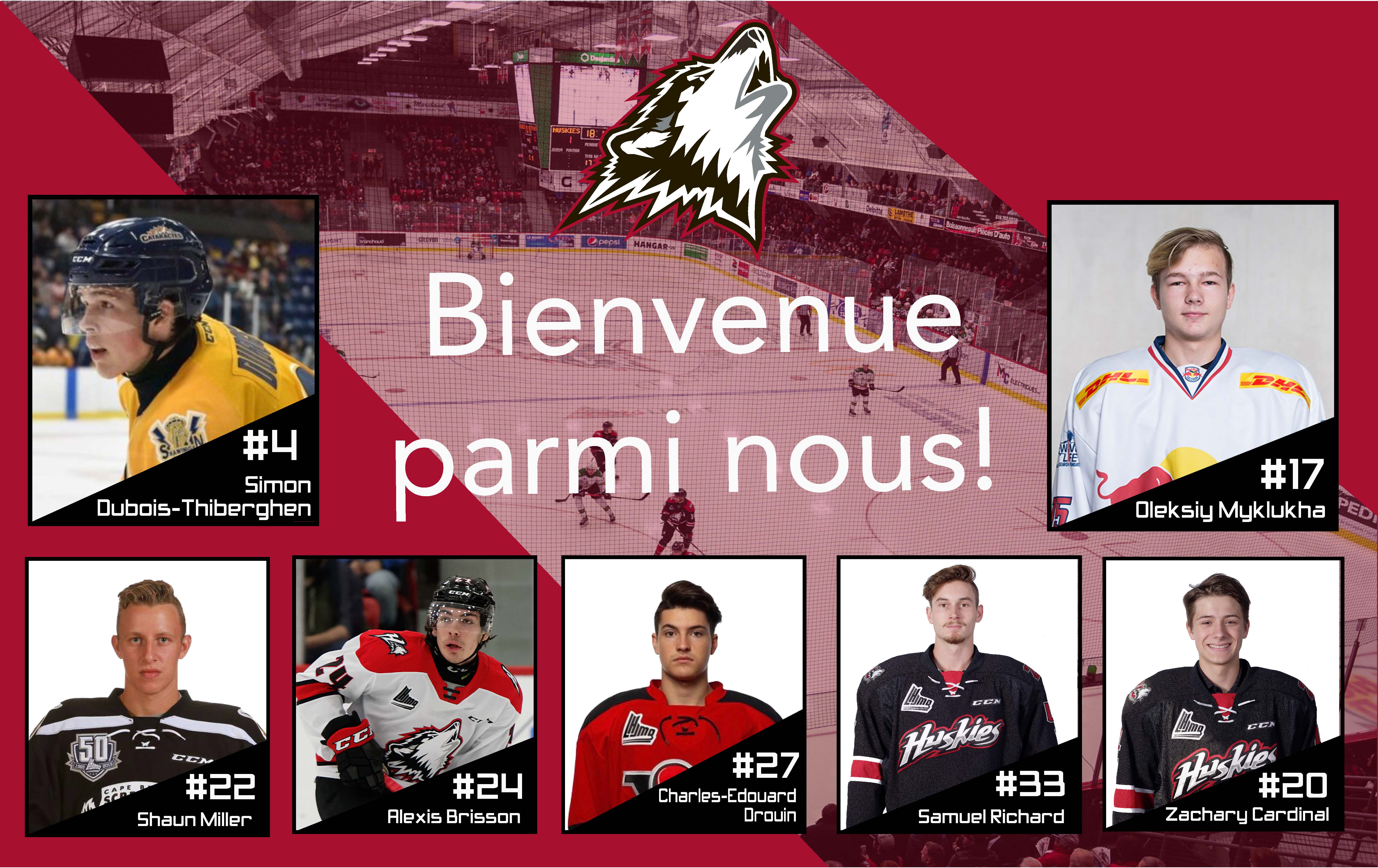 L'arrivée de nouveaux joueurs au sein de l'équipe Huskies de Rouyn