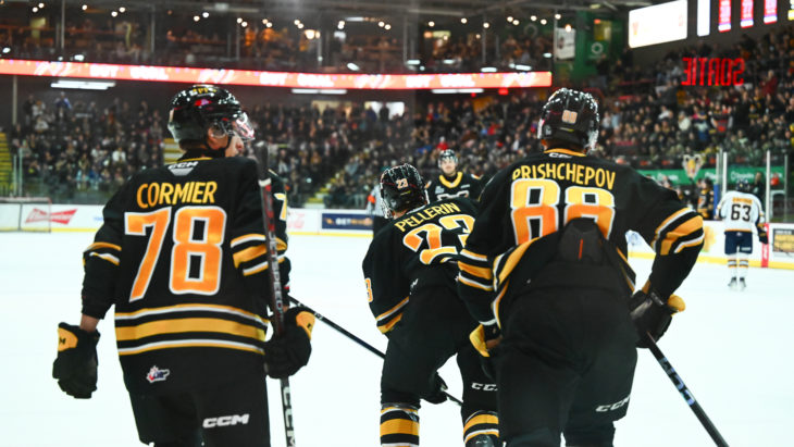 Les Islanders s’amènent en ville
